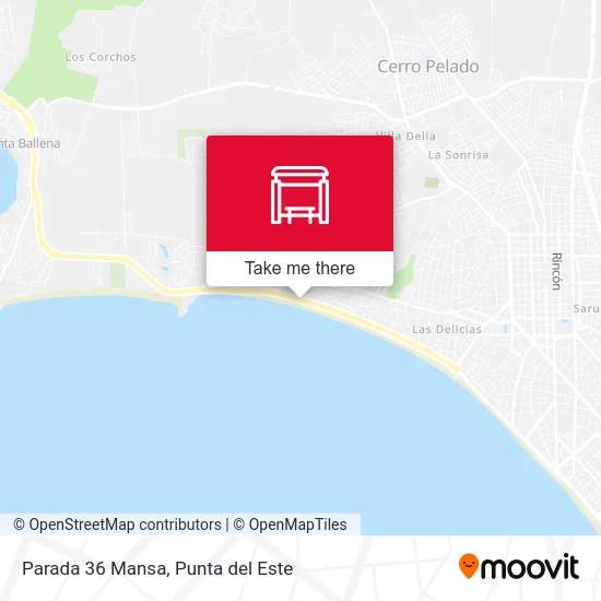 Parada 36 Mansa map