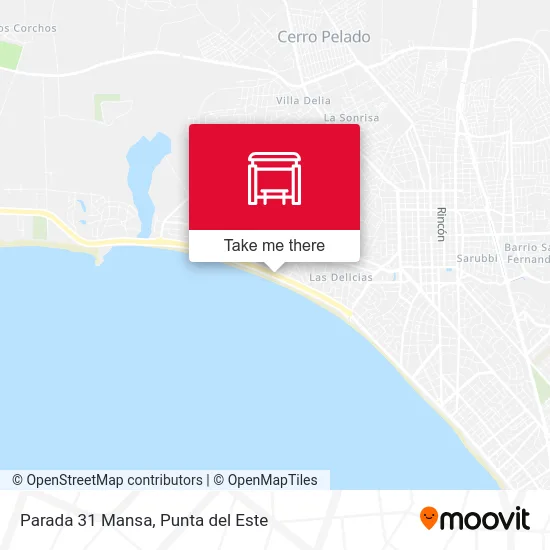 Parada 31 Mansa map