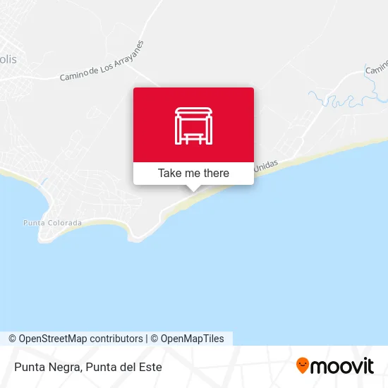 Punta Negra map