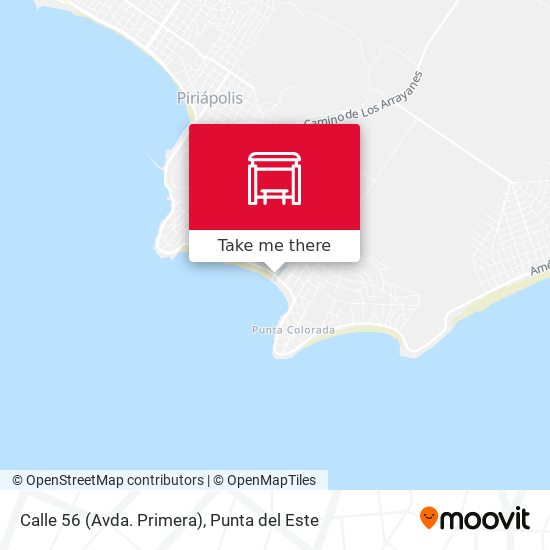 Mapa de Calle 56 (Avda. Primera)