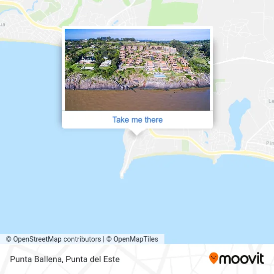 Punta Ballena map