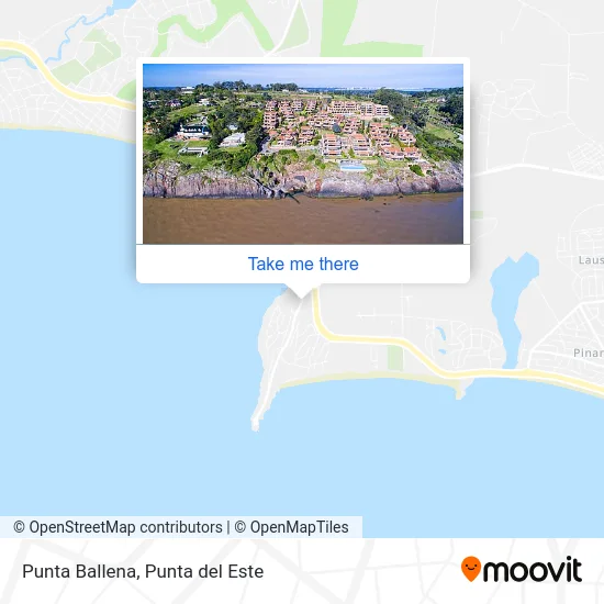 Punta Ballena map