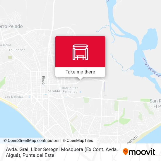 Avda. Gral. Líber Seregni Mosquera (Ex Cont. Avda. Aiguá) map