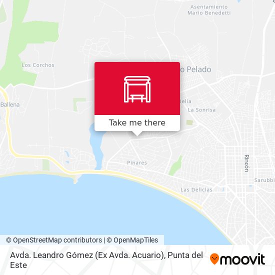 Avda. Leandro Gómez (Ex Avda. Acuario) map