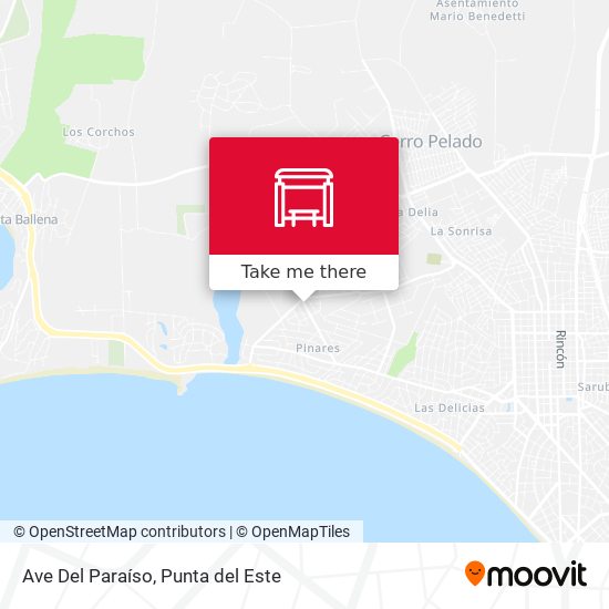 Ave Del Paraíso map