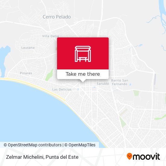 Zelmar Michelini map