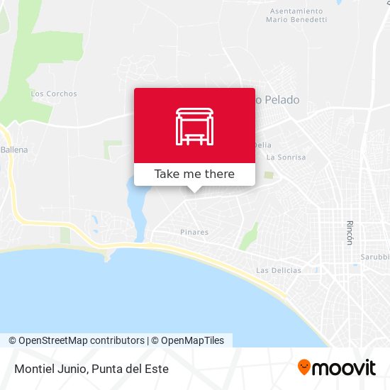 Mapa de Montiel Junio
