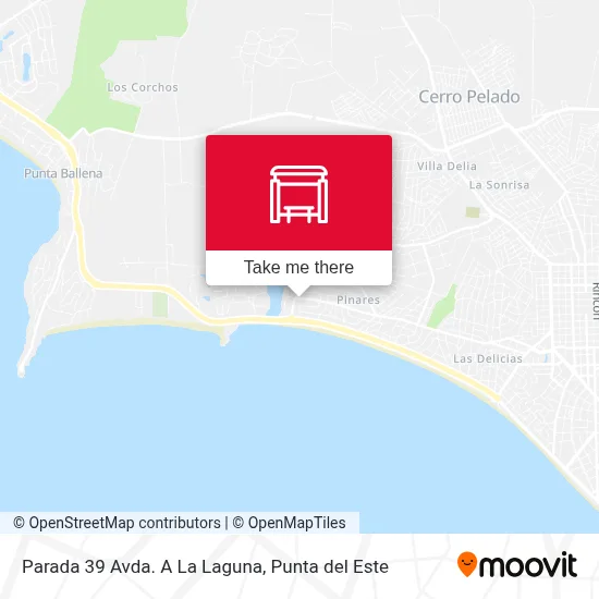 Parada 39 Avda. A La Laguna map