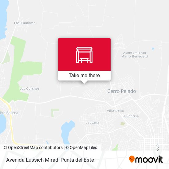 Avenida Lussich Mirad map