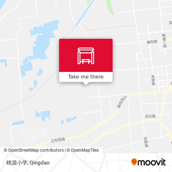 桃源小学 map