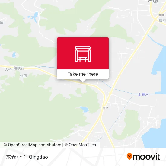东泰小学 map