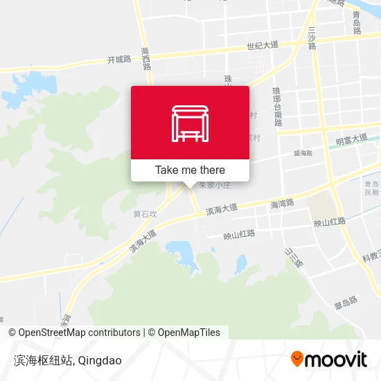 滨海枢纽站 map