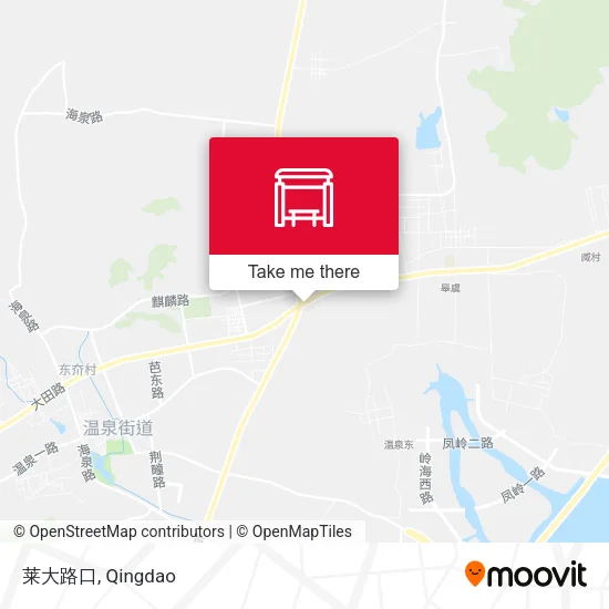 莱大路口 map