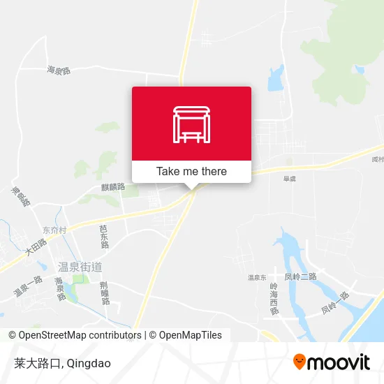 莱大路口 map