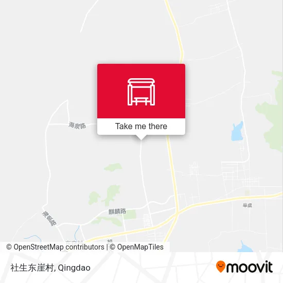 社生东崖村 map
