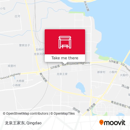 龙泉王家东 map
