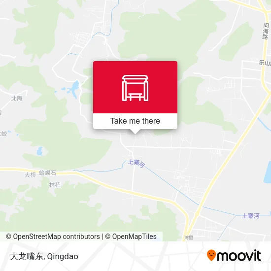大龙嘴东 map