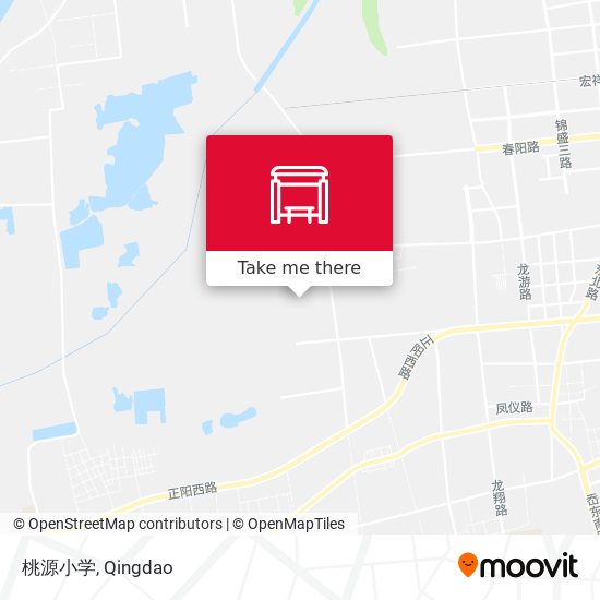 桃源小学 map