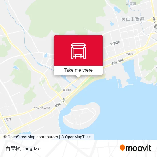 白果树 map
