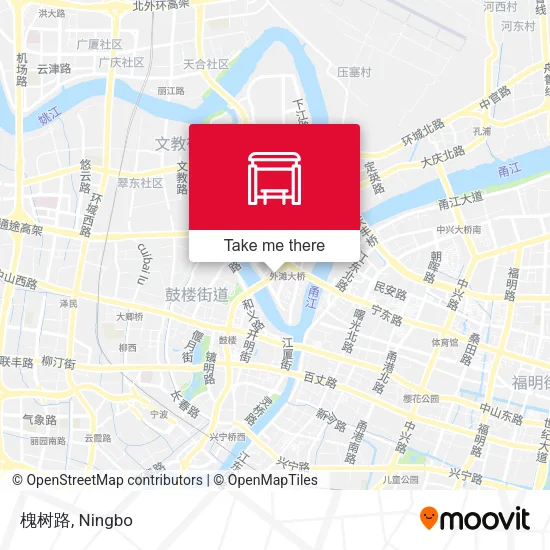 槐树路 map
