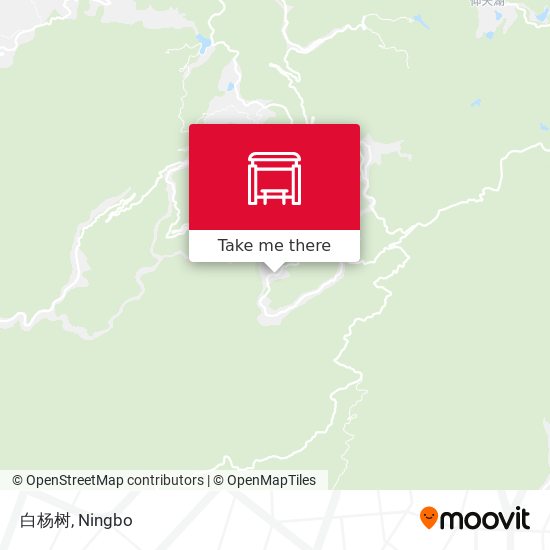 白杨树 map