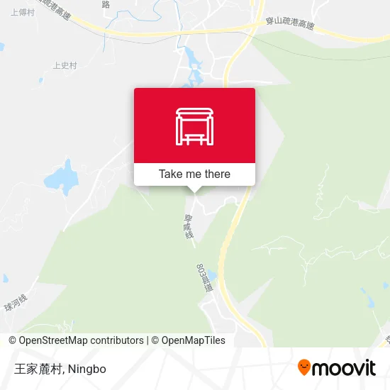 王家麓村 map