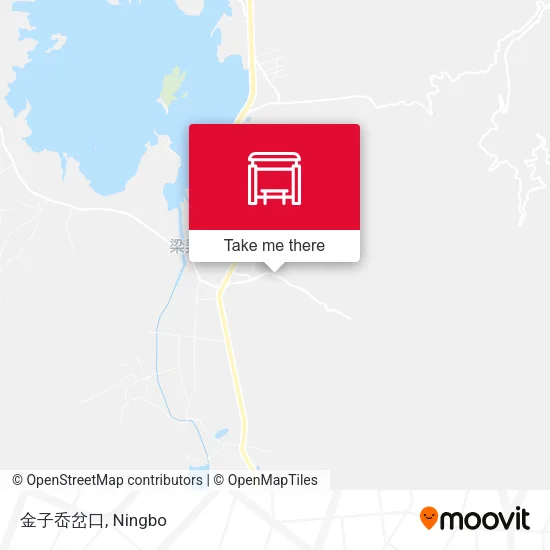 金子岙岔口 map