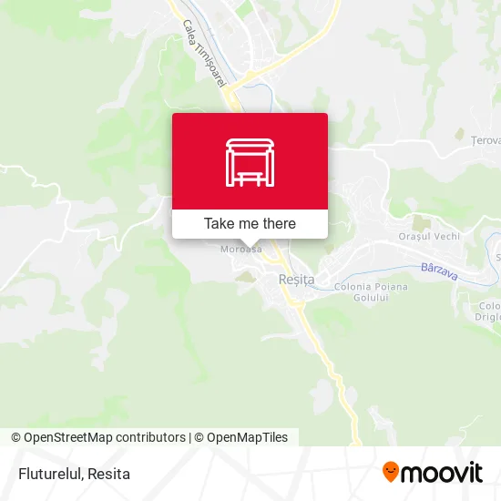 Fluturelul map