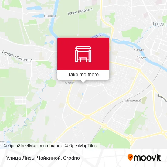 Улица Лизы Чайкиной map