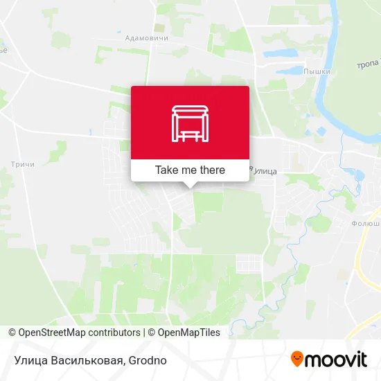 Улица Васильковая map
