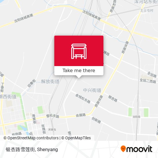 银杏路雪莲街 map