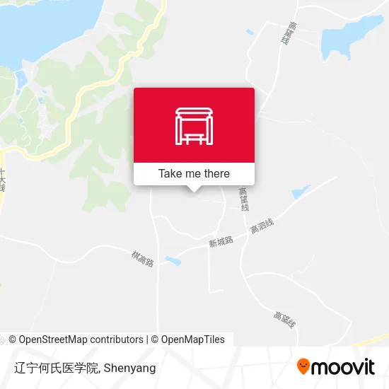 辽宁何氏医学院 map