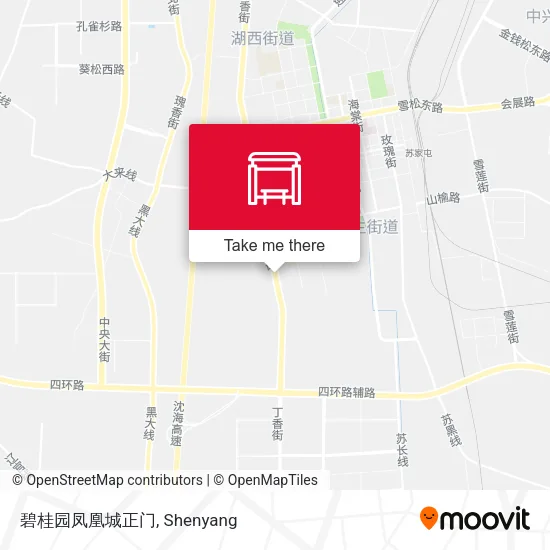 碧桂园凤凰城正门 map