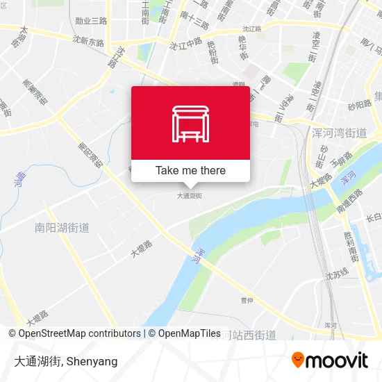 大通湖街 map