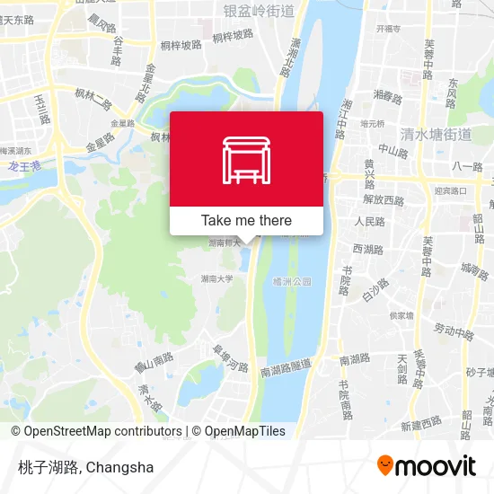 桃子湖路 map