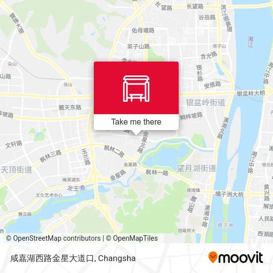 咸嘉湖西路金星大道口 map