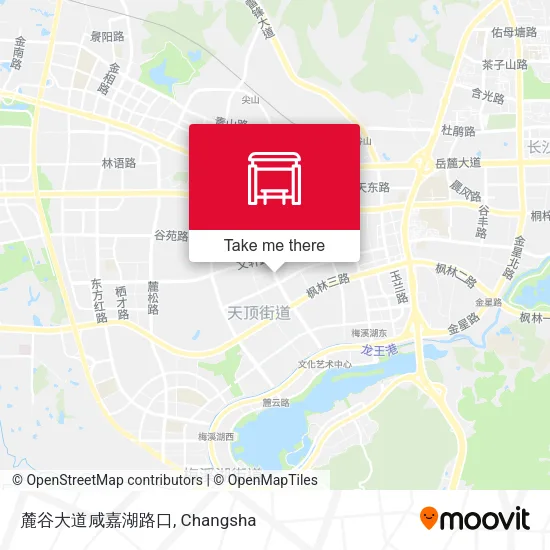 麓谷大道咸嘉湖路口 map