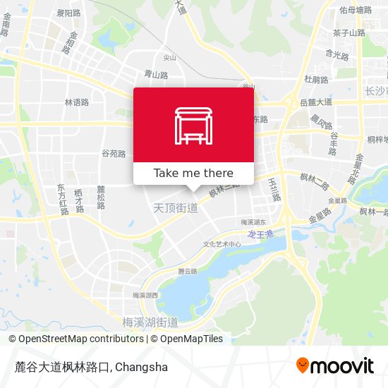 麓谷大道枫林路口 map