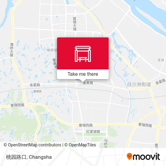 桃园路口 map
