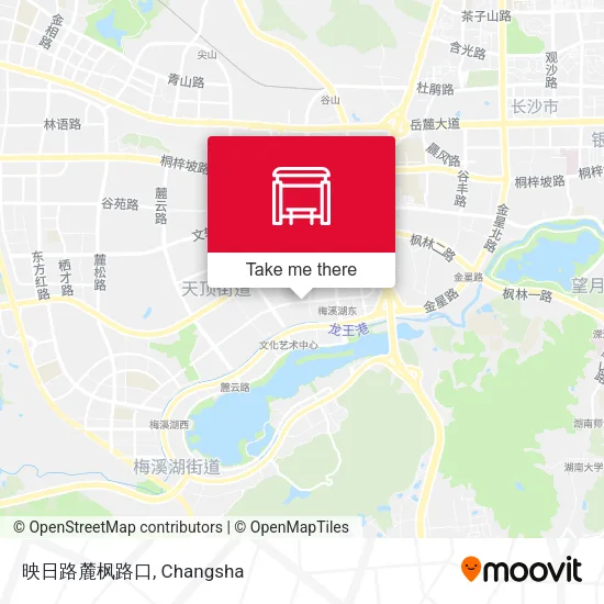 映日路麓枫路口 map