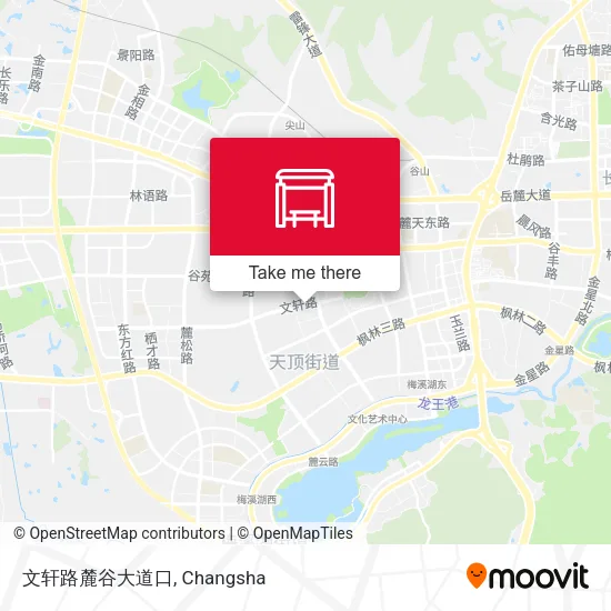 文轩路麓谷大道口 map