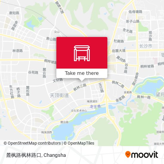 麓枫路枫林路口 map