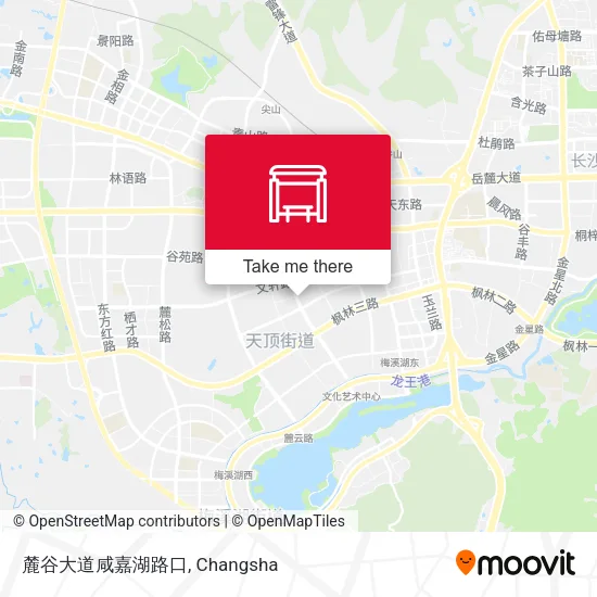 麓谷大道咸嘉湖路口 map
