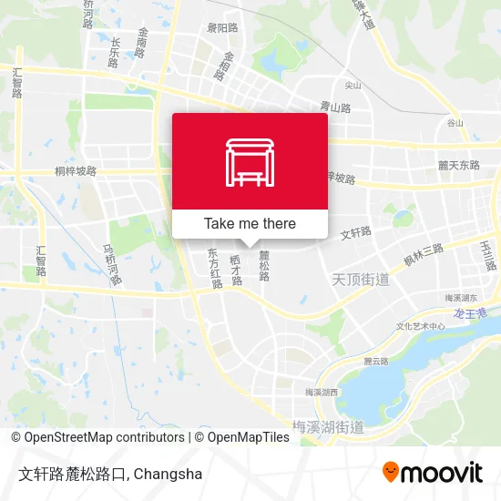 文轩路麓松路口 map