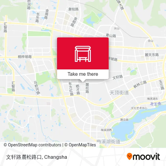 文轩路麓松路口 map