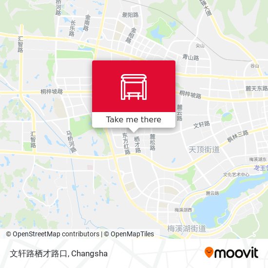 文轩路栖才路口 map