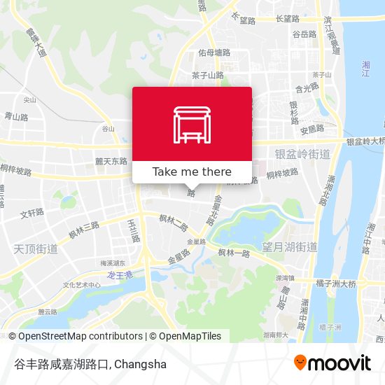 谷丰路咸嘉湖路口 map