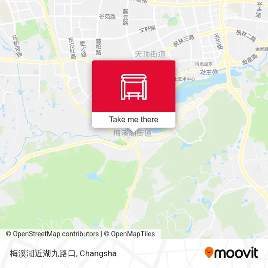 梅溪湖近湖九路口 map