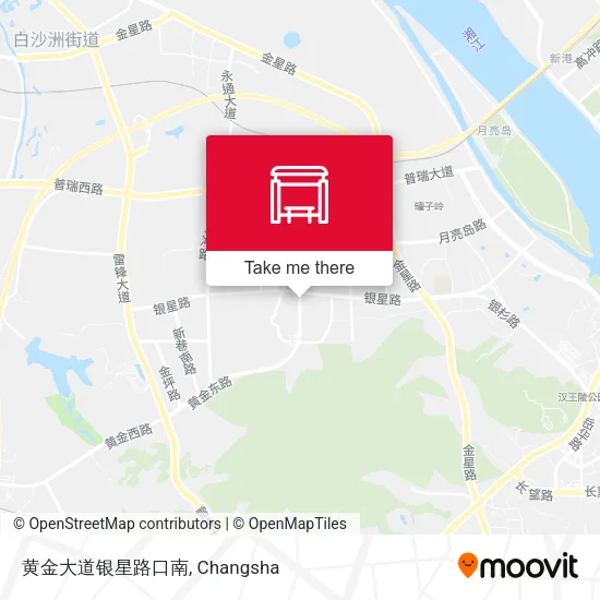 黄金大道银星路口南 map