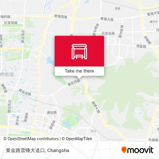 黄金路雷锋大道口 map